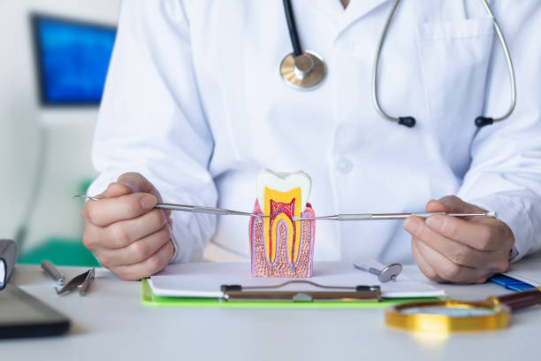 Best Urgent Dental Care for Toothaches in Fort Lee, VA